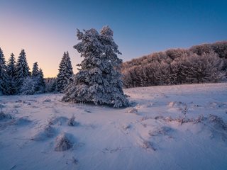 Януари ще започне с топло и предимно слънчево време, от края на първата седмица ще има валежи