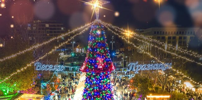 Eлхата в Бургас грейна на Никулден и всяка вечер до края на декември е център на уникално светлинно шоу. 9000 лампички светят в различни цветове.
 СНИМКА: ТОНИ ЩИЛИЯНОВА