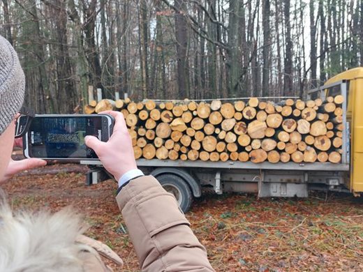 Държавните горски предприятия и ИАГ правят 3236 проверки за 3 дни