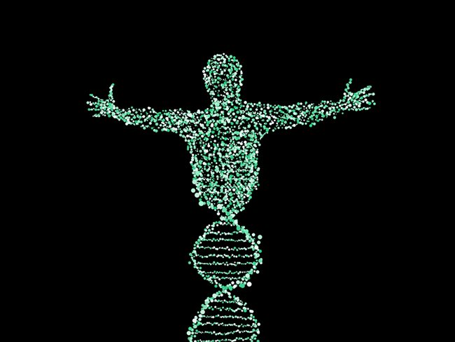 При ГМО бебетата е променена ДНК
Илюстрация: pixabay