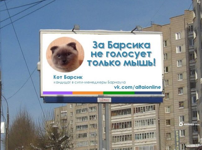 "Само мишките няма да гласуват за Барсик", гласи билборд в Москва. Снимка газета.ру