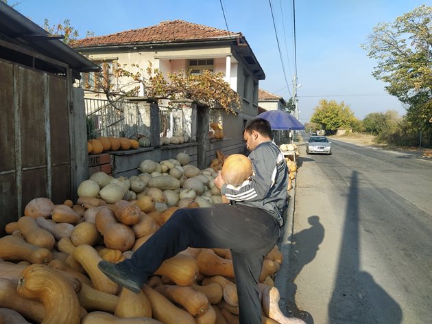 Да ги посееш на семка, да ги отгледаш, прибереш от полето и накрая да ги продадеш - това е много работа и време.