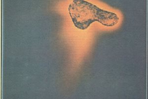 Ядрото на Халеевата комета е заснета по време на проекта "Вега".