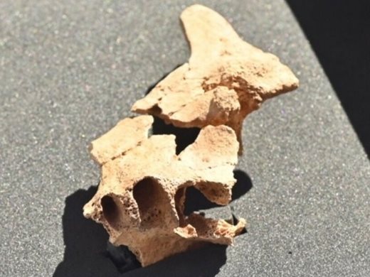 В Испания откриха останки от човешко лице на 1,4 милиона години