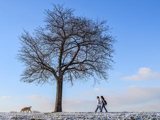 Предимно слънчево време с възможност за слаби валежи ни очаква на 25 февруари