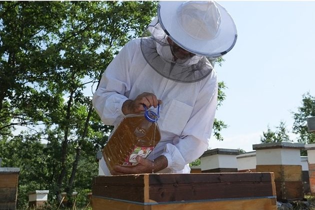 Допустимо е само до 50% от необходимия за зимните месеци - около 10 кг, мед да се замени. Това означава на семейството да се даде около 5-6 кг захар през есента за дозапасяване