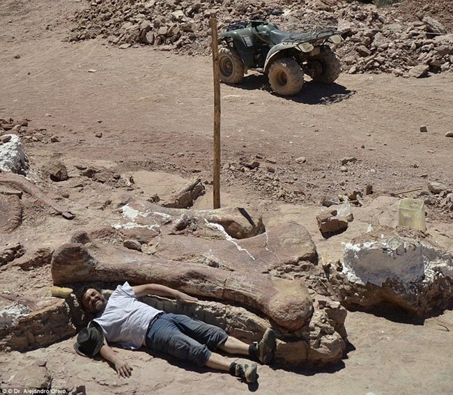 Палеонтолог е легнал до бедрената кост, намерена при разкопките в Патагония.
