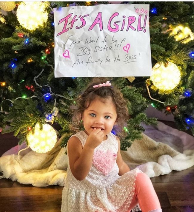 Бившият кечист е публикувал в сайта Инстаграм снимка на малката Джасмин пред коледна елха. Над нея е окачен къс хартия с надпис: "Момиче е!" СНИМКА: инстаграм/therock/