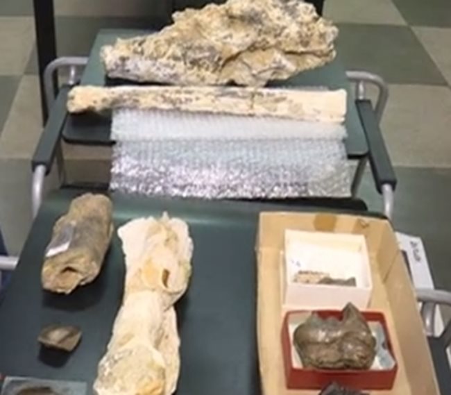 Откритата кост е най-долу в ляво. Кадър: Би Ти Ви