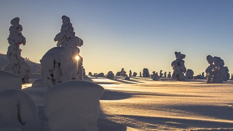 Мистерията на зимното слънцестоене