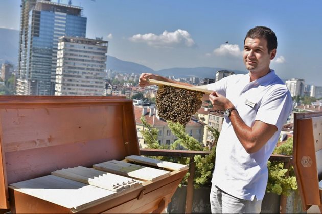 НДК в уникален проект за опазване на пчелните популации “1 000 000 кошера” на фондация “Имам си кошер” (I have a bee). Източник: OffNews.bg
