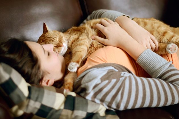 Собствениците на котки не страдат от безсъние