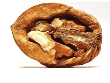 Орехите стимулират образуването на афти