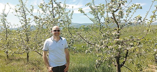 Павел Желязков отглежда овощни градини в района на Кюстендил. На снимката се намира в 30-декарова ябълкова градина със сортовете Флорина" и „Златна превъзходна", подложка 106 и капково напояване