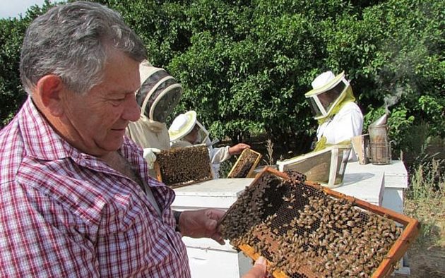 Хайм Ефрат, шеф на пчеларския отдел в агроминистерството в Израел: Само в Израел се изисква всеки пчелар да осигури чист, без пестициди източник на вода за своите пчели. Независимо от това, 15 пчелини вече са изчезнали през 2017 поради замърсени водни източници. Но самият факт, че агроминистерството може да посочи тези 15 пчелини и идентифицира точната причина за смъртта, означава, че злокобният етикет на Cиндрома на празния кошер може, поне в тези случаи, да бъде предотвратен.