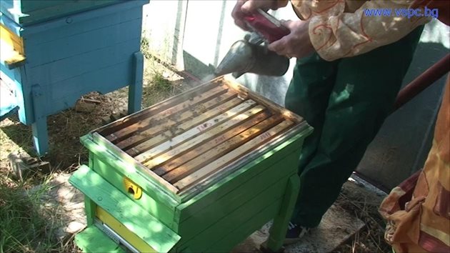 Според някои пчелари дори и през март питките с прашец ще са по-добре за бързото развитие на семействата, отколкото захарния сироп 1:1. Защото пчелите ще използват храната директно, а не се нуждае от никаква преработка.