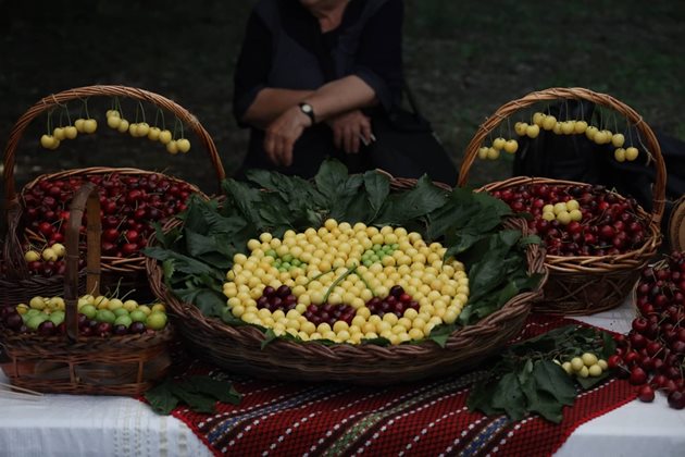 СНИМКИ: Георги Кюрпанов