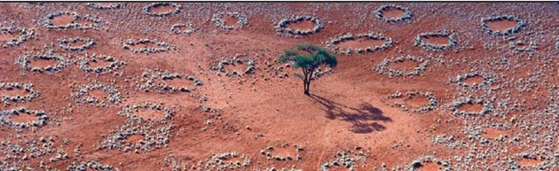 Мистерио кръгове са на площ от няколко хиляди километра в тревистизнитете степи на Намибия. Те са от 2 д о 15 м в д иаметър и в тях не расте нищо. Не е ясно защо средпасищата изневи- делица се появяват оголени кръгове земя, съществуват няколко години и изчезват. Проучване е установило, че следсухи години кръговете се увеличават и нарастват, а следдъждовни се свиват и изчезват.