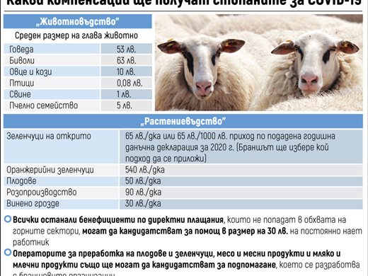 Предлагат помощта в земеделието за COVID-19 да се раздели на три