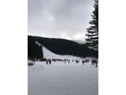 Най-сетне! Отварят частично ски зоната в Мальовица