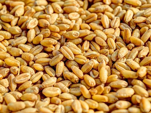 Турският министър на транспорта: 32 млн. тона зърно са прекарани през зърнения коридор