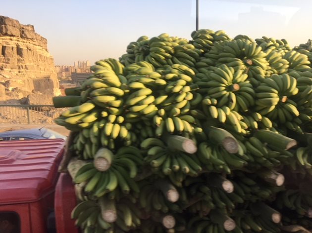 Камион, натоварен с огромно количество банани