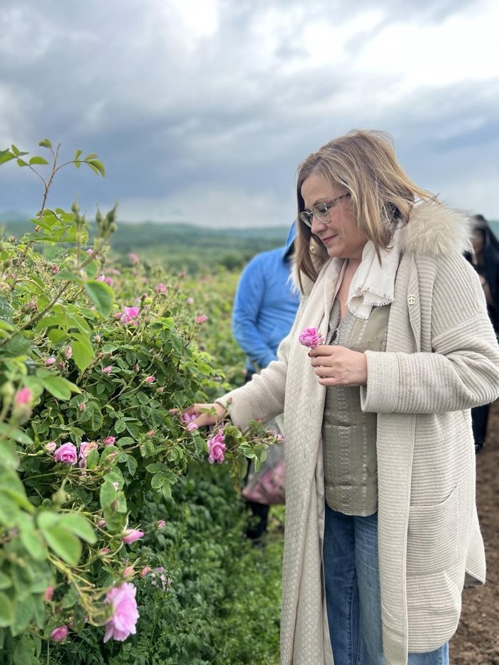 През май т.г. гръцкият евродепутат Мария Спираки дойде в България и лично влезе в розовите градини.
Снимка: Архив