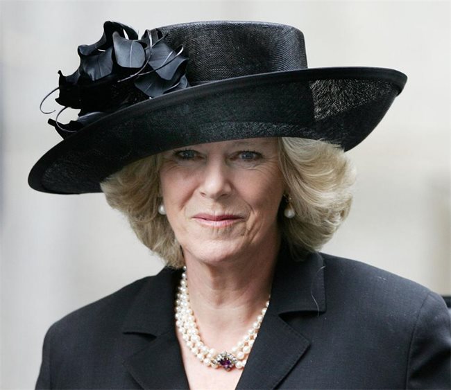 Съпругата на принц Чарлз Камила Паркър-Боулс се оказва роднина на кралицата на попмузиката.