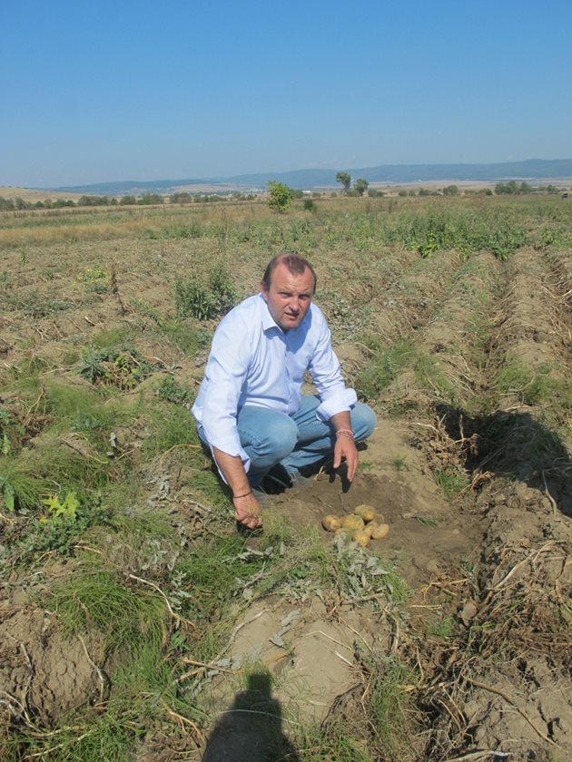 Тодор Джиков е категоричен, че производителите на картофи се сблъскват с много трудности, част от които държавата може да реши много лесно стига да има политическа воля за това
