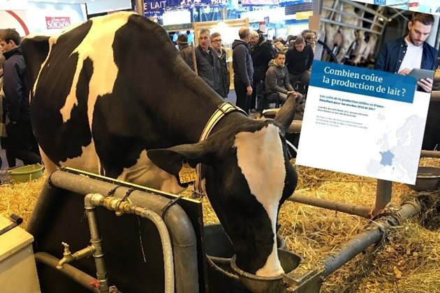 Млечна крава на Международното селскостопанско изложение SIA  Снимка: Dairy Reporter