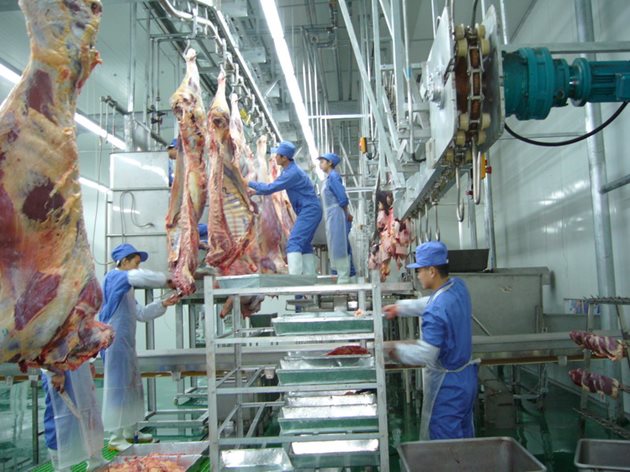 Според експерти от ФАО трябва да се намали консумацията на месо, особено на говеждо. Реално ли е това? В момента световното годишно потребление на говеждо месо е около 72 млн. т, а към 2030 г. се прогнозира нарастване до 90 млн. т, предимно в азиатските страни.
