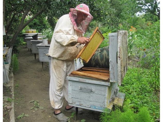 При есенното формиране на гнездото в реални условия често се налага пчеларят да работи с рамки, в които има различно количество мед.