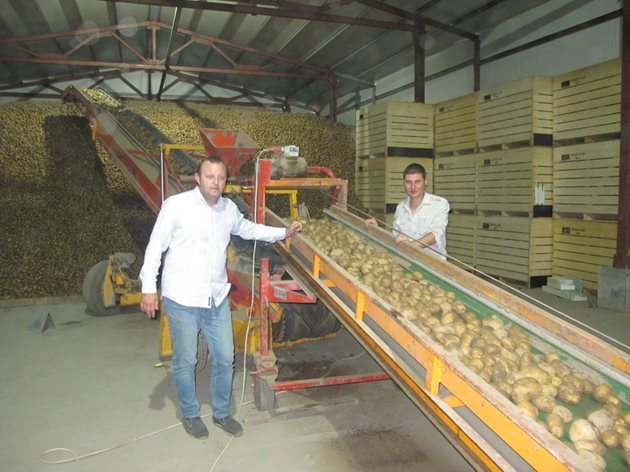 Проблем имат не само дребните, но и производителите на картофи, които могат да съхраняват продукцията си
Снимки: Ваня Велинска