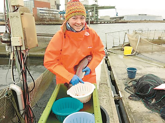 Едва 1,4% са заетите жени в сектор Рибарство у нас, предимно са в преработката. ПМДРА ще предложи мерки за приобщаването им.