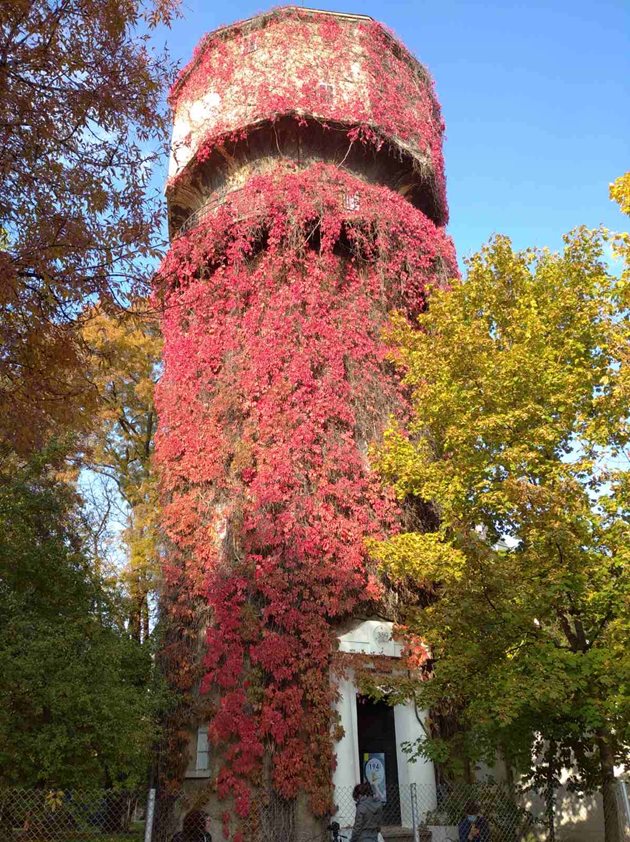 В ярки багри грее водната кула в столичния кв. “Лозенец” - една от най-красивите есенни гледки в града.

СНИМКА: НИКА СТОИЛОВА