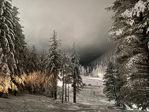 Нощни ски на Мальовица всеки ден до 2 януари на ниски цени (снимки)