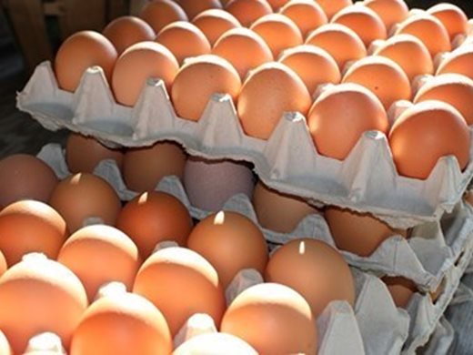 БАБХ: Над 100 000 яйца са блокирани в търговски обекти заради фипронила