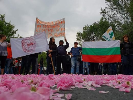 Розопроизводители блокираха пътя Пловдив-Карлово, Порожанов отиде при тях (Снимки)