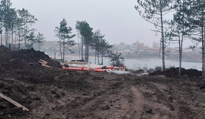 Разораната горичка срещу плажа на къмпинг "Арапя". Не е ясно колко дървета са изсечени при започването на строежа на частните вили.