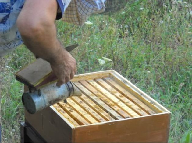Независимо от опитите на пчеларите да ограничат роенето то се отрази на търговията с пчели. Търсенето на пчелни отводки от лицензирани производители намаля. Причината е появата на голям брой естествени пчелни роеве.