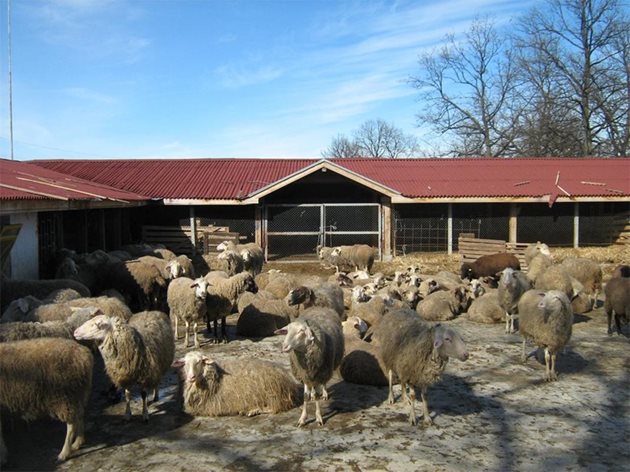 Срокът за кандидатстване от животновъдните ферми е до 15 май, но явно ще се наложи удължаванего му