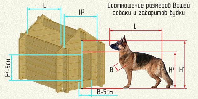 Съотношение между размерите на кучето и габаритите на къщата му
