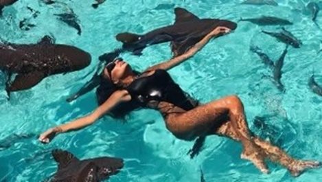 Николета Лозанова плува с акули и прасета на Бахамите (снимки)