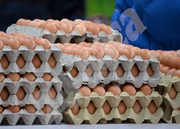За да се достигне нормата на фипронил, която е установена като опасна, един човек с тегло 70 - 80 кг трябва да изяде 70-80 яйца в много кратък период от време. СНИМКА: Архив
