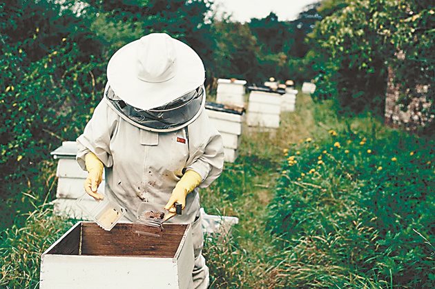 Целта на технологията е да помогне на производителите и пчеларите да подобрят отношенията си за защита на опрашващите насекоми, които са от съществено значение за производителността на растенията и устойчивостта на околната среда

