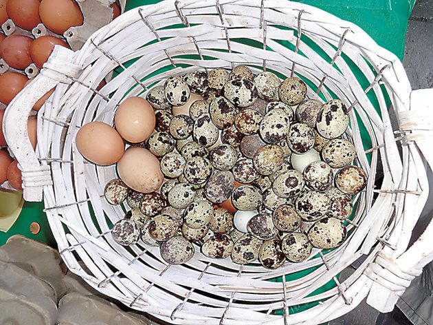 Пъдпъдъчите яйца също се търсят преди Великден