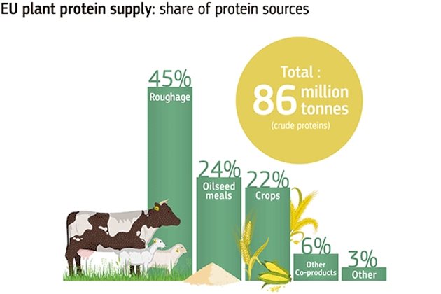 Дял на протеиновите източници в ЕС за растителни протеини; Източник: ЕК