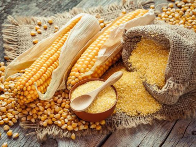 Ръст в потреблението на царевица се очаква и в Европа - с 13% в следващите 8 години