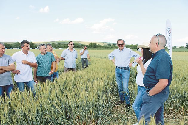 Емануеле Горетти (със светлосинята риза, вдясно на Божана Гандева), собственик на Семетика разговаря със земеделци от Северозападна България
Снимки: Ваня Велинска
