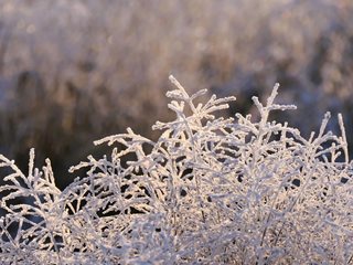 Предимно слънчево време с температури между минус 2 и 3 градуса ни очаква на 23 февруари